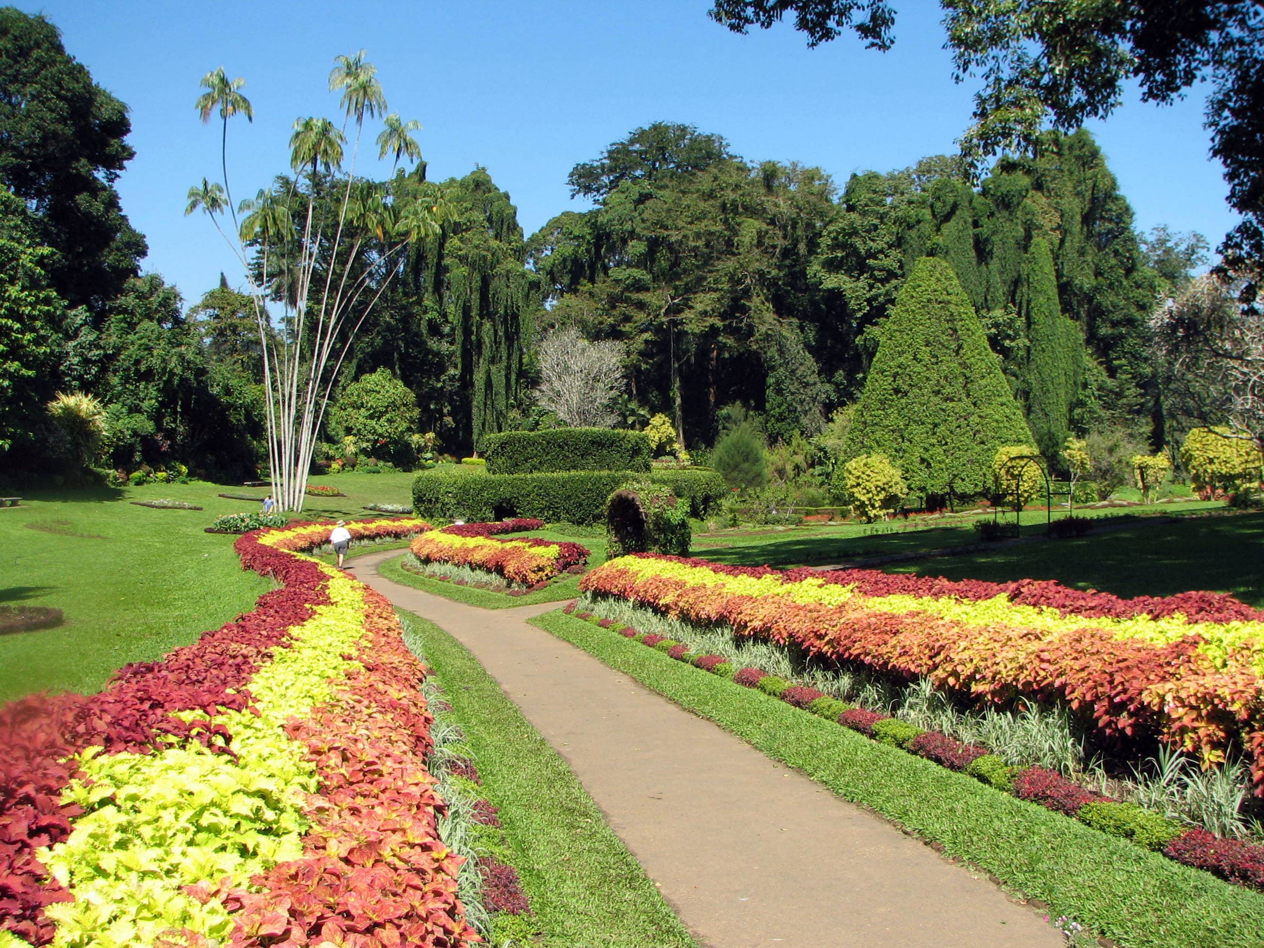 Botanical garden