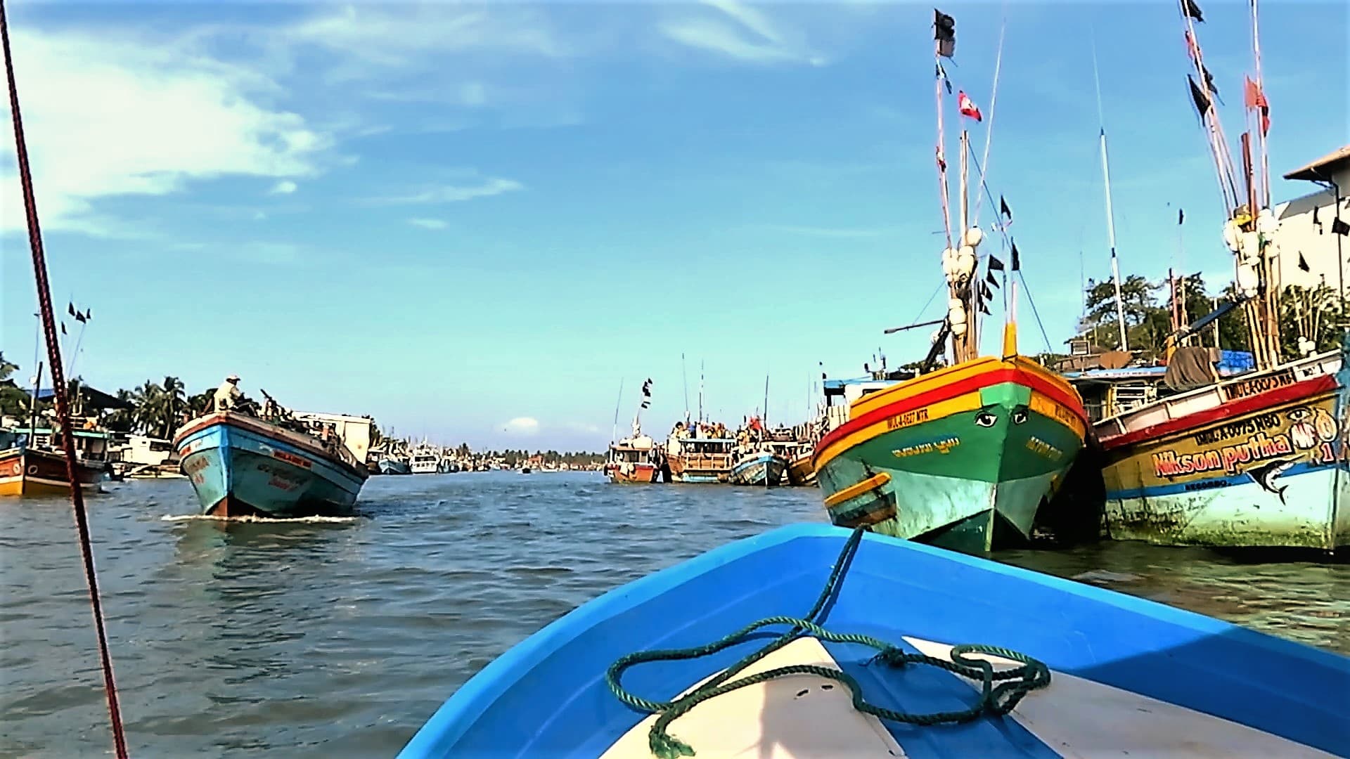 Fish drying on racks in a Negombo fishing village