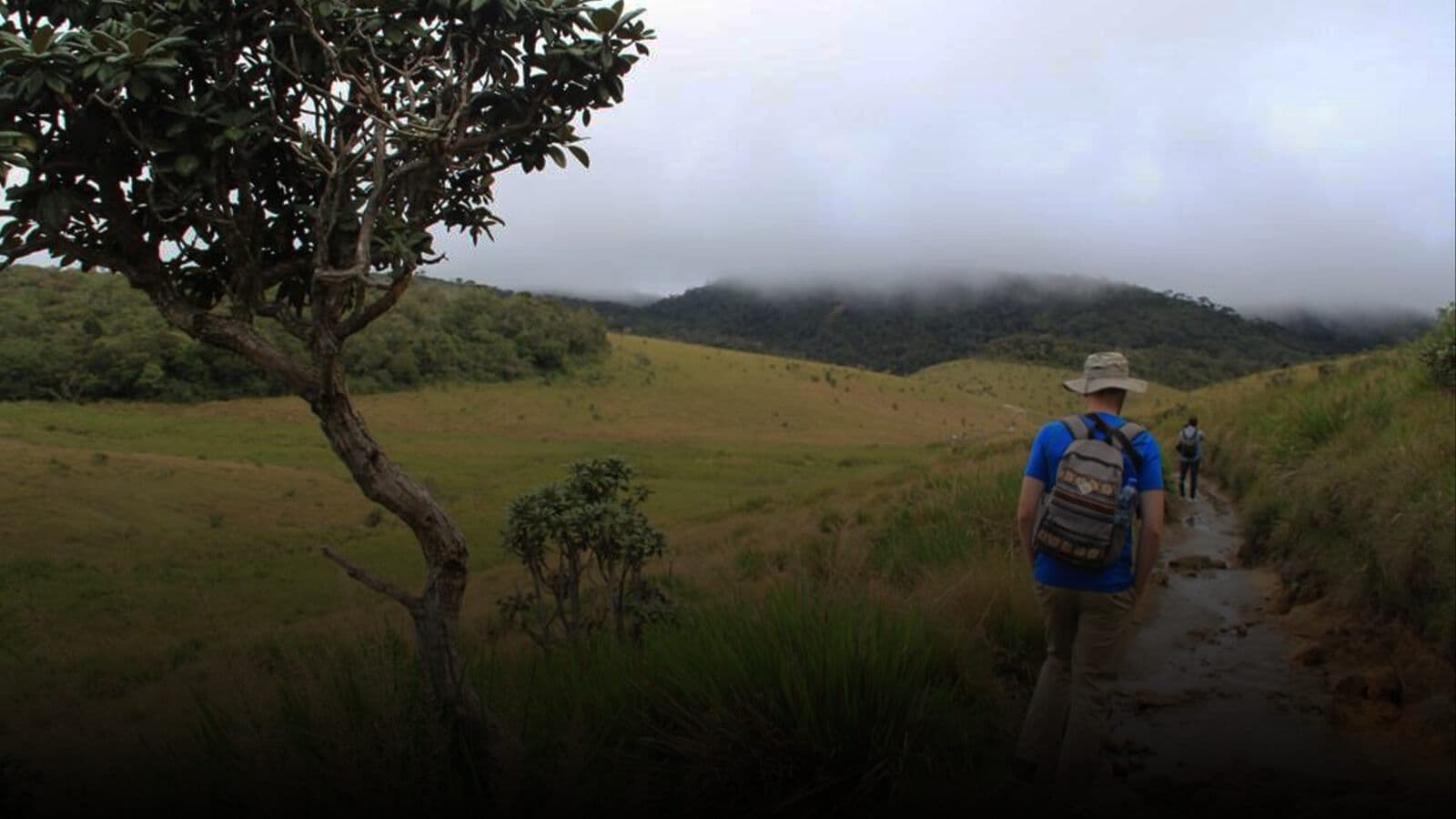 A hiker on a grassland trail in low cloud