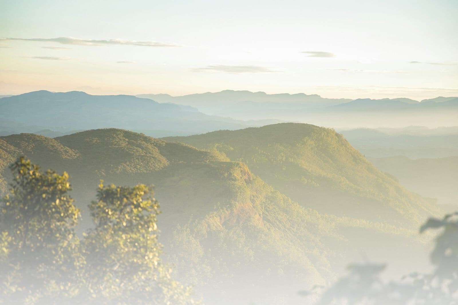 Sunrise over the hill country ranges