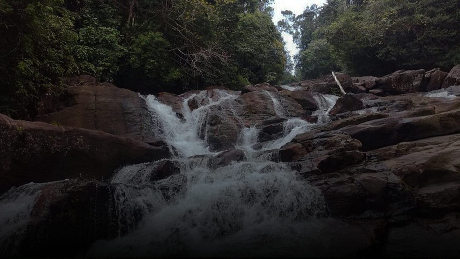 A waterfall inside the Kanneliya forest