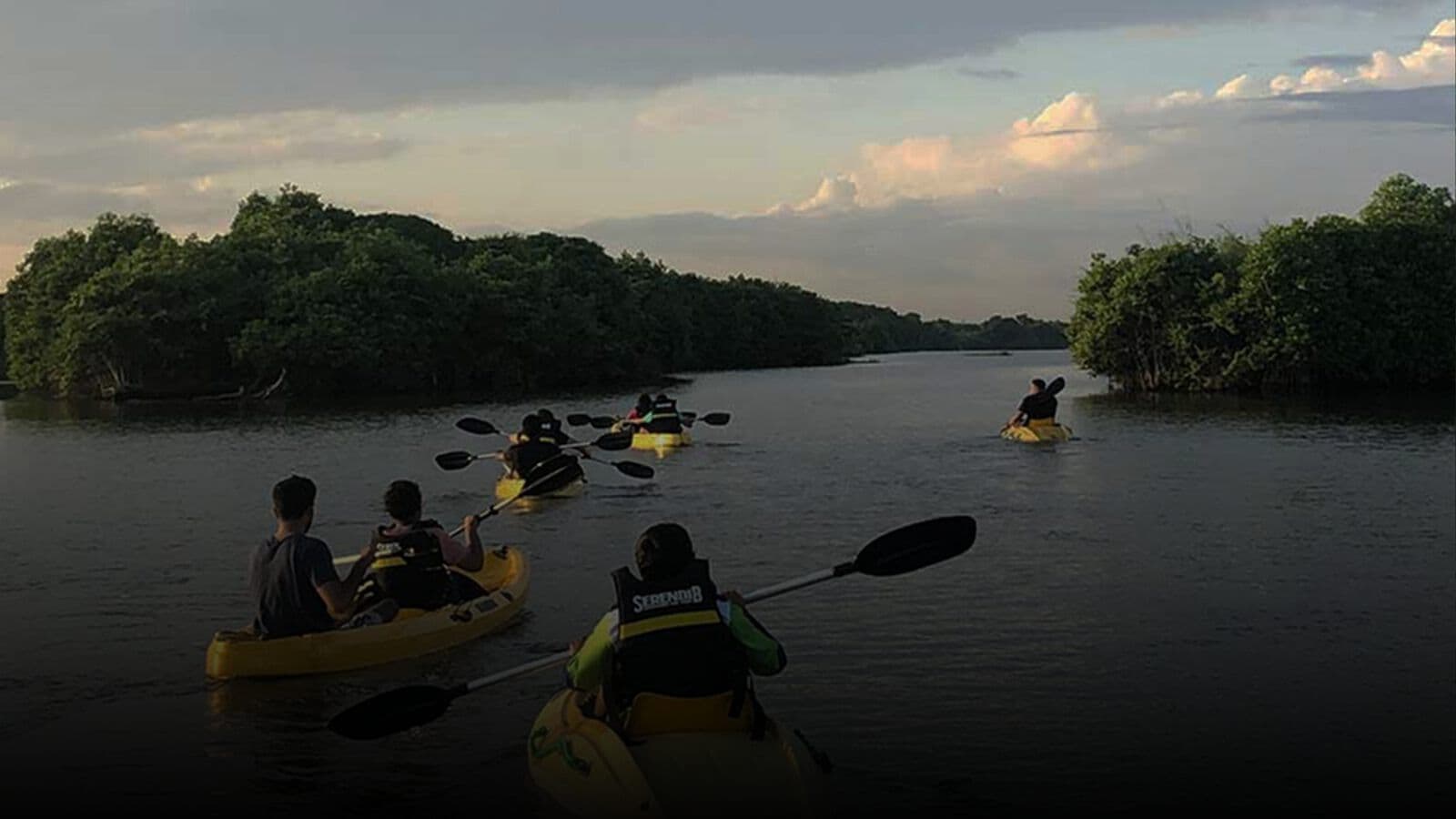 Kayakers on a mangrove river at dusk