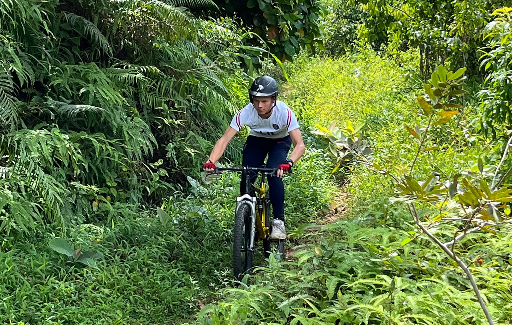 Cyclists on a hill road at Ella