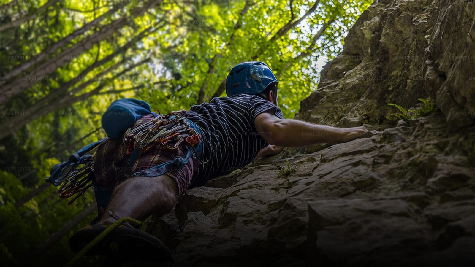 A climber on a forest cliff