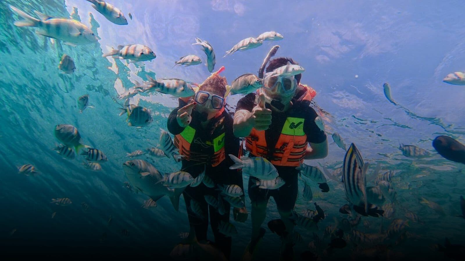 Snorkellers among reef fish