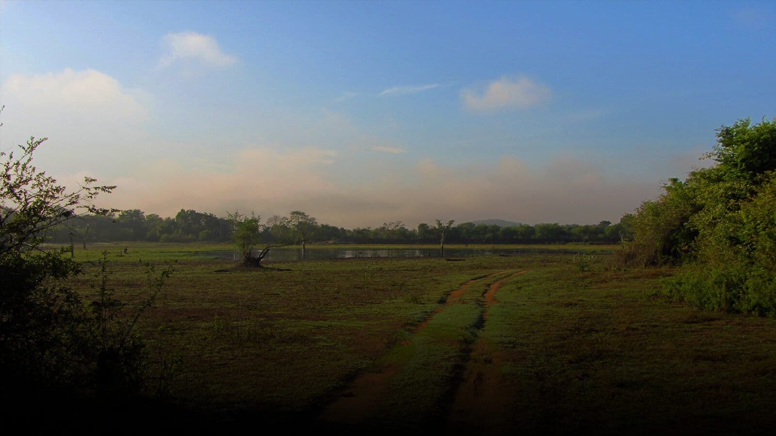 Open grassland in Wasgamuwa