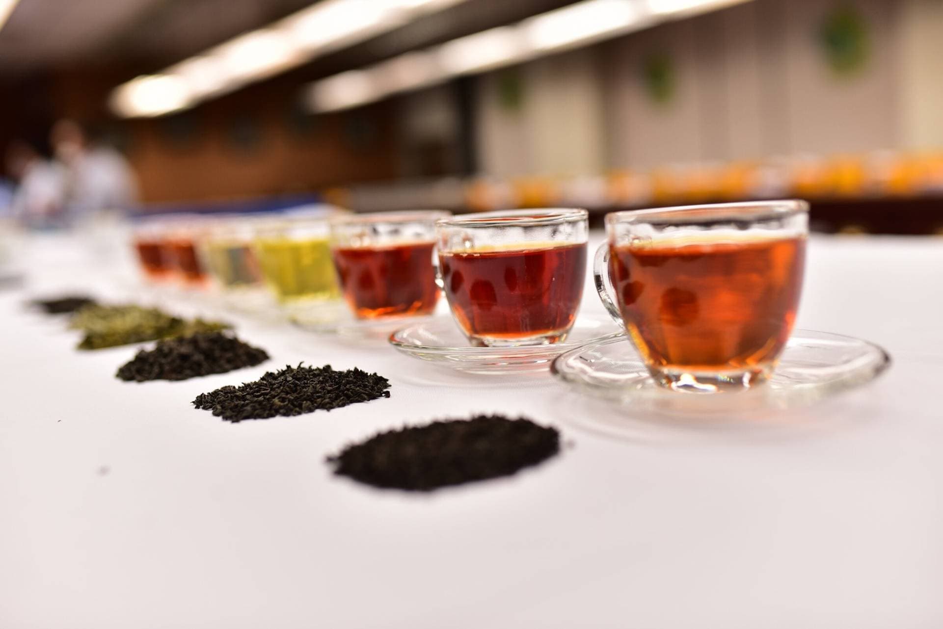 tea tasting