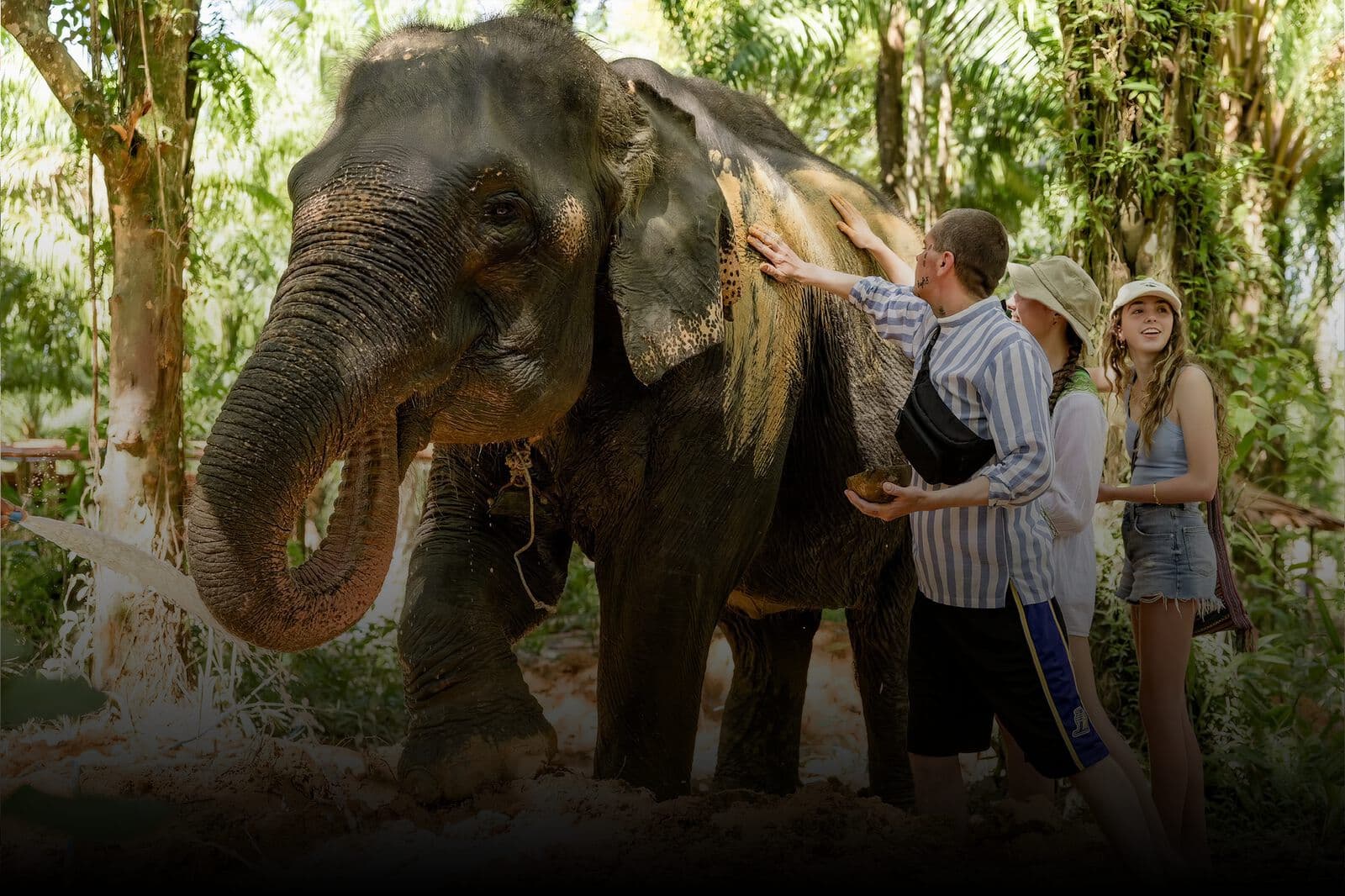 Travellers meeting an elephant at a sanctuary