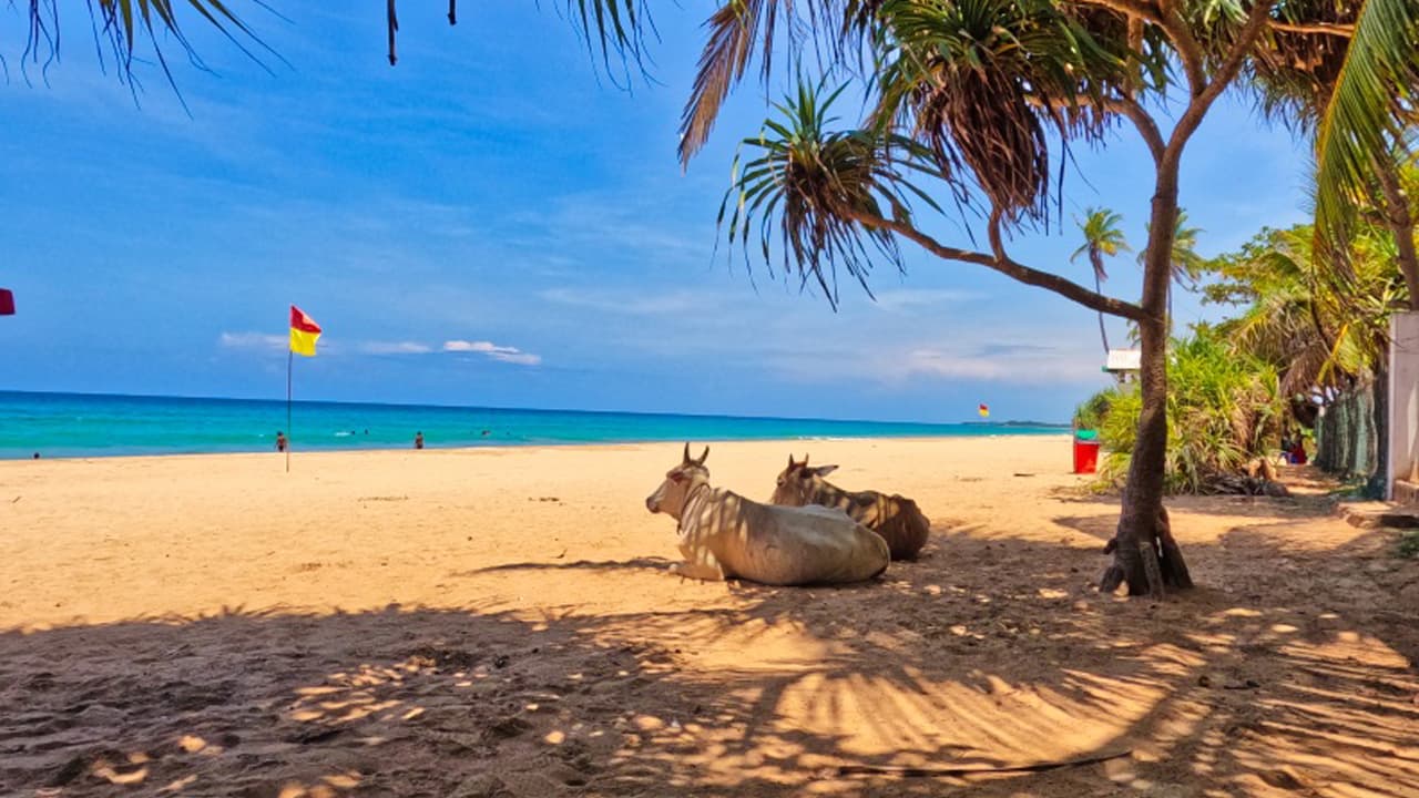 trincomalee