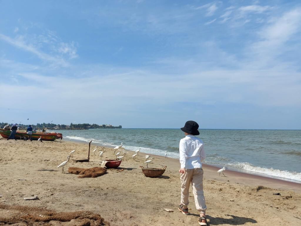 Egrets on the sand beside a child at the water's edge