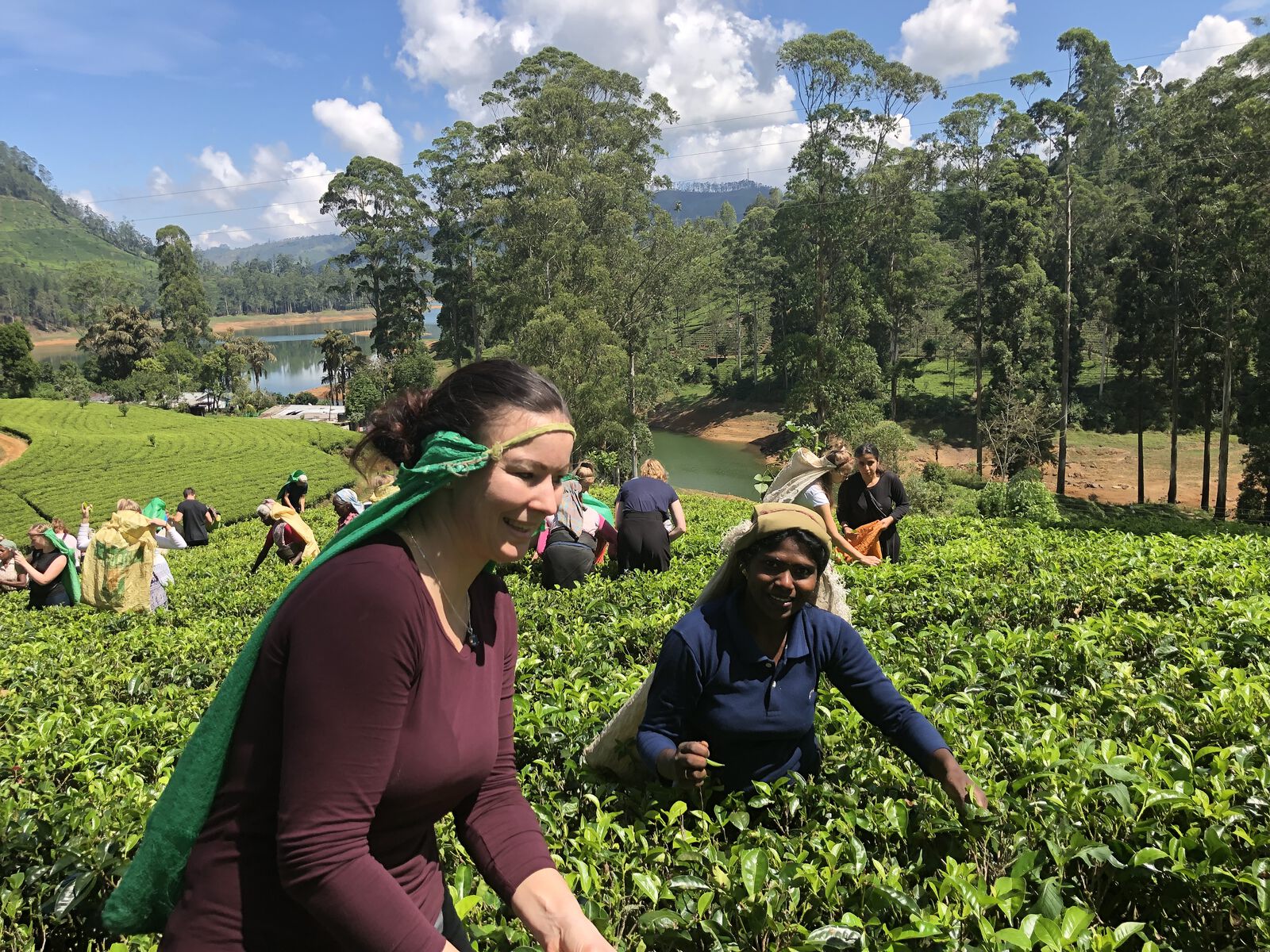 Learning to pluck tea alongside an estate worker