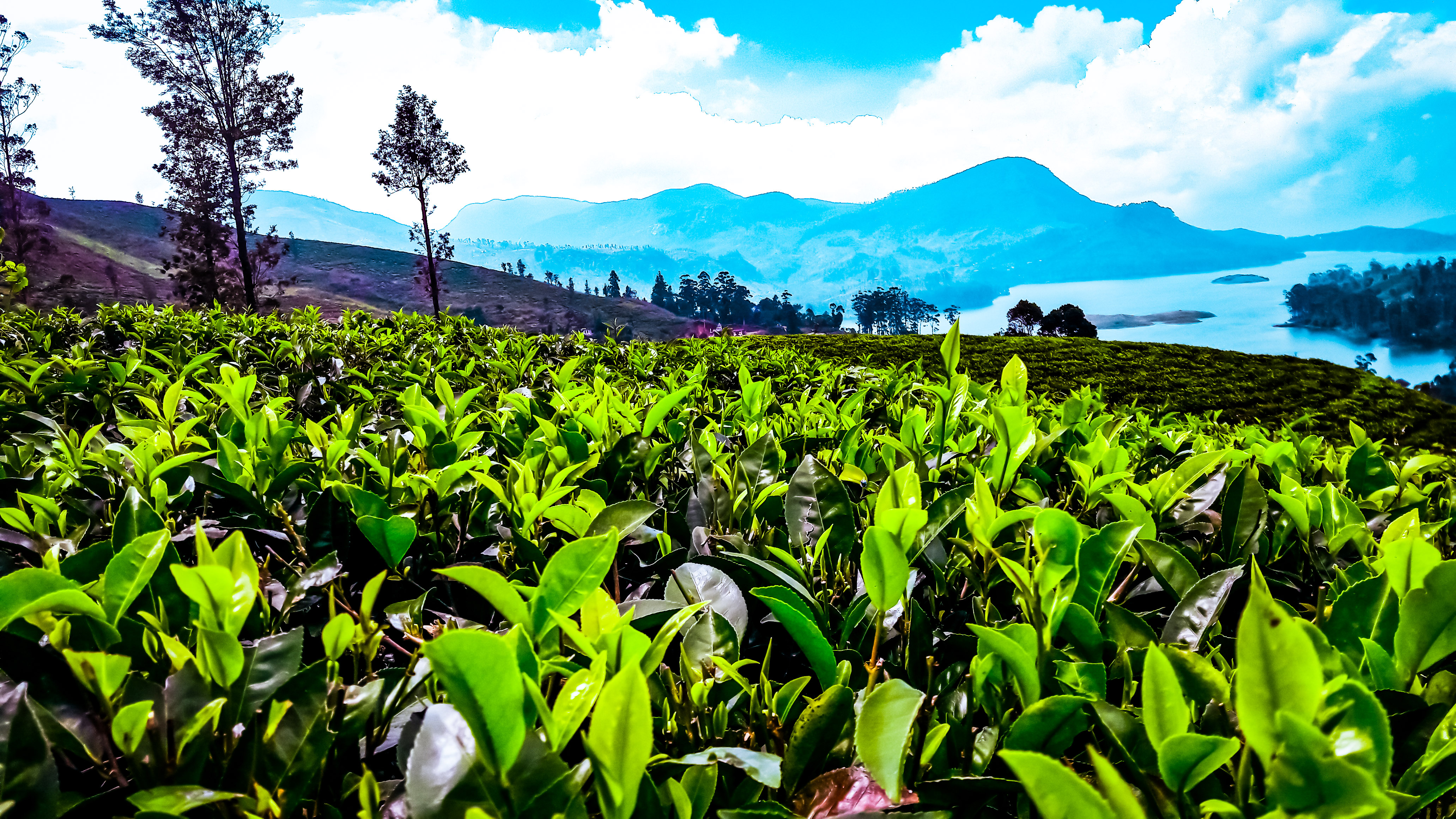 sri-lanka-tours