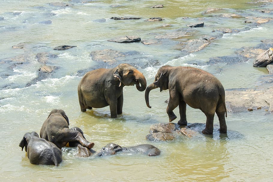 sri-lanka-tours